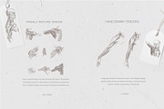 LEONARDO DA VINCI ANATOMY SKETCHES, an Illustration by Luna Dreams (Thumbnail 5 of 6)