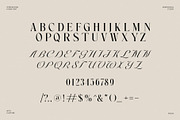 Newton Scient Calligraphy Serif Font, a Serif Font by Graphicxell (Thumbnail 10 of 10)