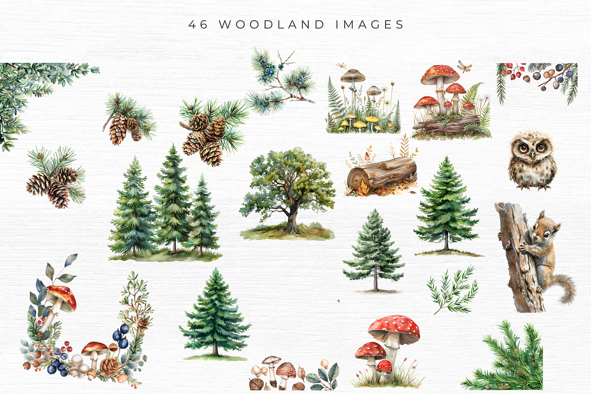 Woodland Animal Clipart, an Animal Illustration by EllyandLima (Photo 6 of 7)