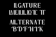 Mellorant – Modern Elegant Serif, a Serif Font by SantiStudio (Thumbnail 4 of 6)