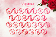Monogram Rosa Font, a Symbol Font by Dm Studio (Thumbnail 5 of 6)