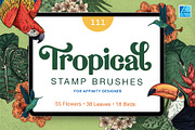 111 Tropical Stamps for Affinity, a Brush Add-On by Riveros Illustration (Thumbnail 1 of 13)