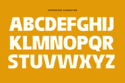 Softa Black, a Sans Serif Font by Brand_Hero (Thumbnail 12 of 13)