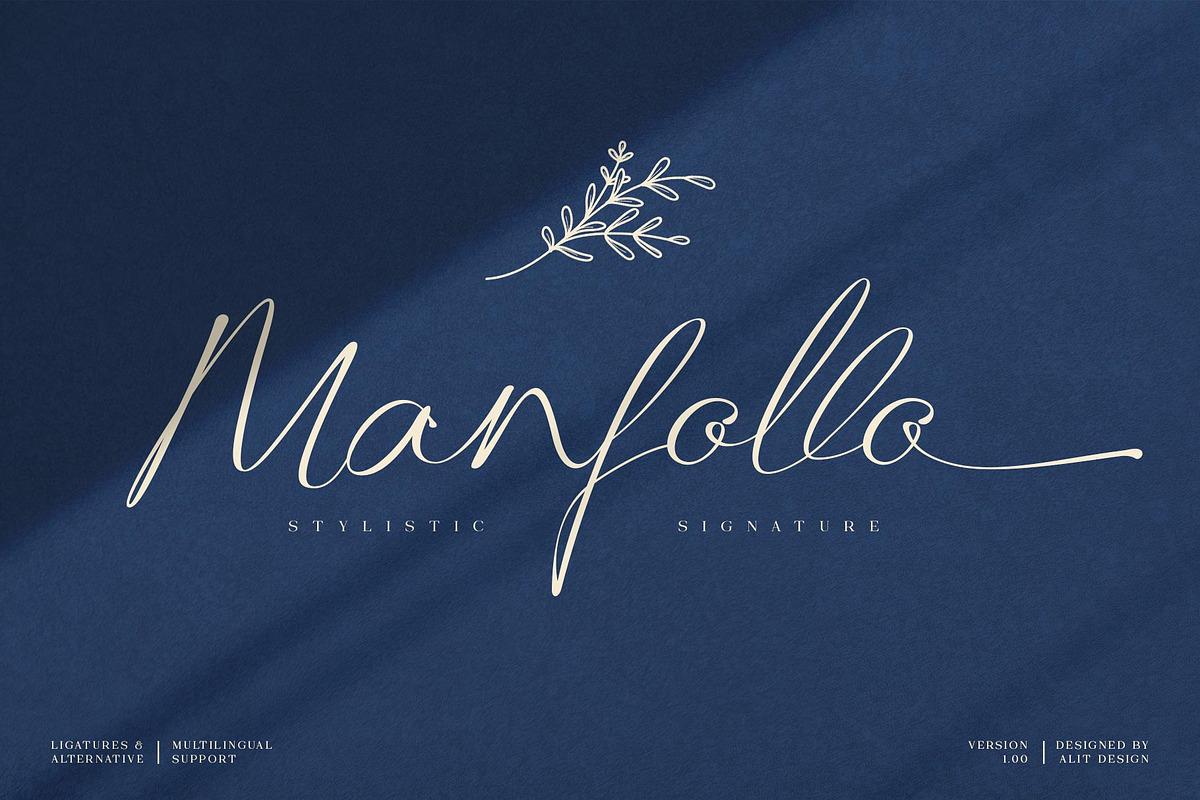 Manfollo Modern Script, a Script Font by alit design (Photo 1 of 15)