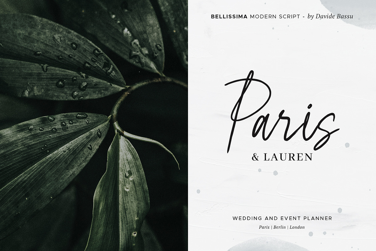 Bellissima - Messy & Modern script preview 4