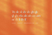 Moglin Modern Serif Font, a Serif Font by Elegant Font (Thumbnail 8 of 8)