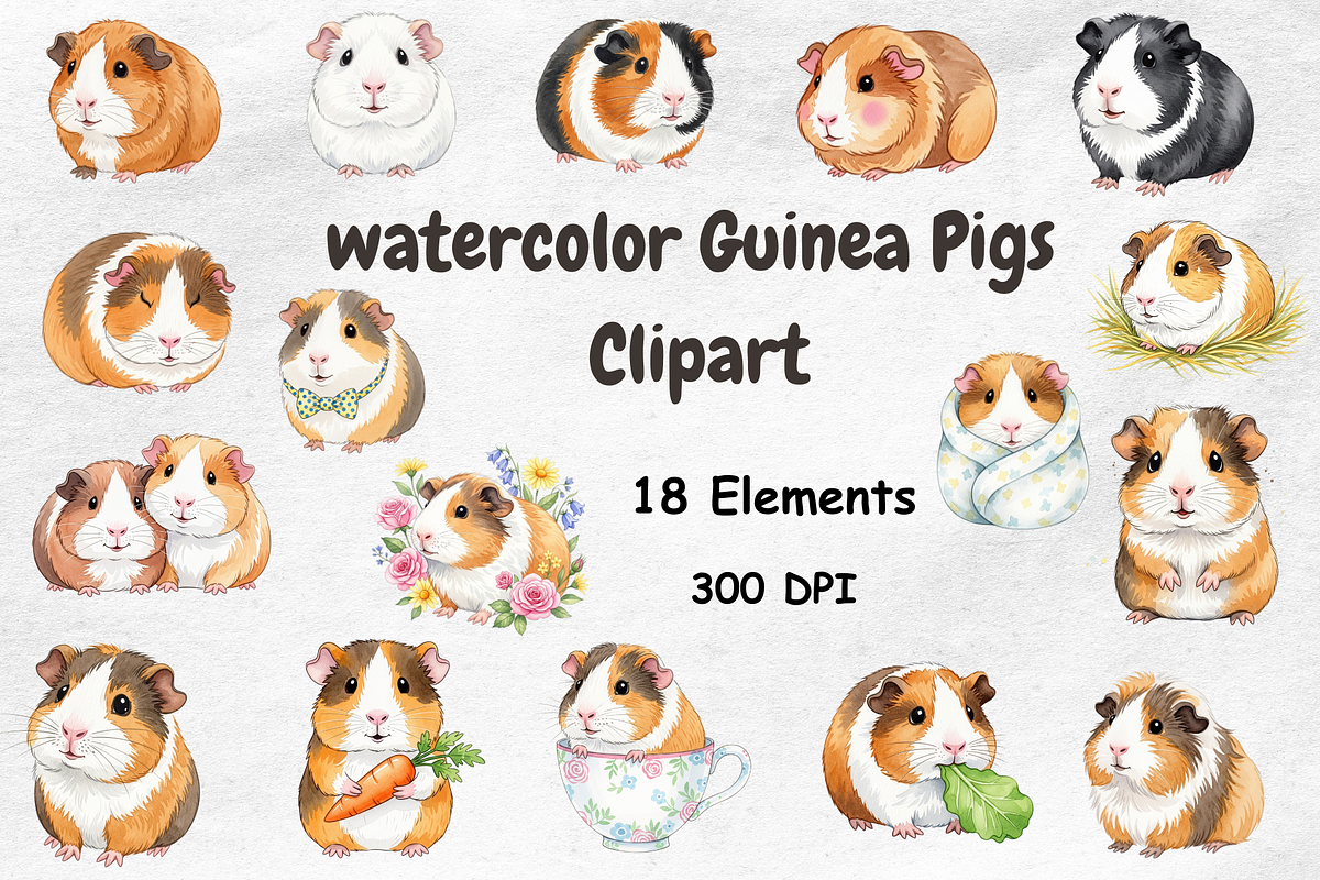Watercolor Guinea Pigs Clipart, an Animal Illustration by BerryPieArt (Photo 1 of 4)