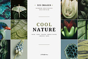 Cool nature | 325 stock photos, a Background Photo by Tale.Haus (Thumbnail 1 of 19)