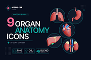 Organ Anatomy 3D Clay Medical Icons, an Object 3D Model by Iconic Era (Thumbnail 2 of 4)