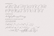 Senorytta Chic Calligraphy Font, a Script Font by Storytype Studio (Thumbnail 13 of 15)