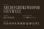 Misadon Elegant Ligature Serif Font, a Serif Font by Perfectype (Thumbnail 6 of 6)