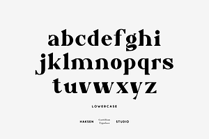 Castillian Modern Serif Family