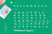 Adjust Smile Modern Tall Serif, a Serif Font by timelesstype.co (Thumbnail 19 of 20)