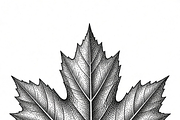 ETARA Autumn Ritual Kit, an Object Graphic by ETARA by Mea Hau (Thumbnail 59 of 64)