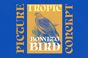 Born Spirit, a Serif Font by Dora Typefoundry (Thumbnail 6 of 11)