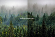 10 Evergreen Lightroom Presets, a Preset Add-On by Oak Digital Studios (Thumbnail 5 of 10)