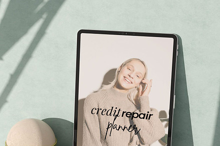 PLR/MRR Credit Repair Planner