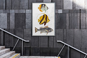 Vintage tropical fish illustrations, an Animal Illustration by Natalka Dmitrova art (Thumbnail 5 of 12)