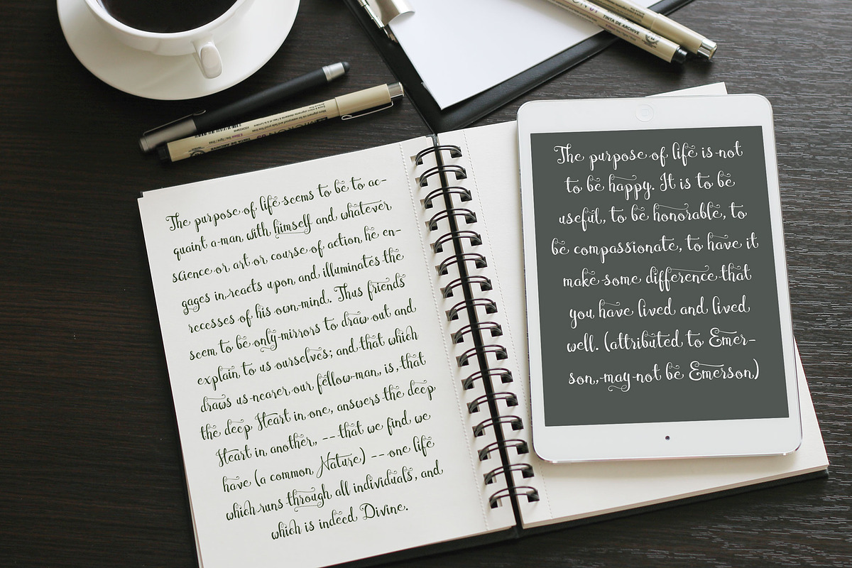 Cymbidium Script preview 2