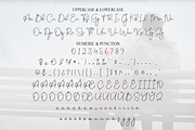 Darling | Script Font, a Handwritten Font by Scratchones (Thumbnail 7 of 9)