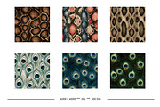 Realistic Animal Skin Textures, a Texture Graphic by karenfoleyphoto (Thumbnail 5 of 7)