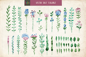 50 Floral Watercolor Vector Brushes