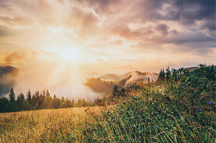 Foggy morning landscape, a Nature Photo by Nature and travel