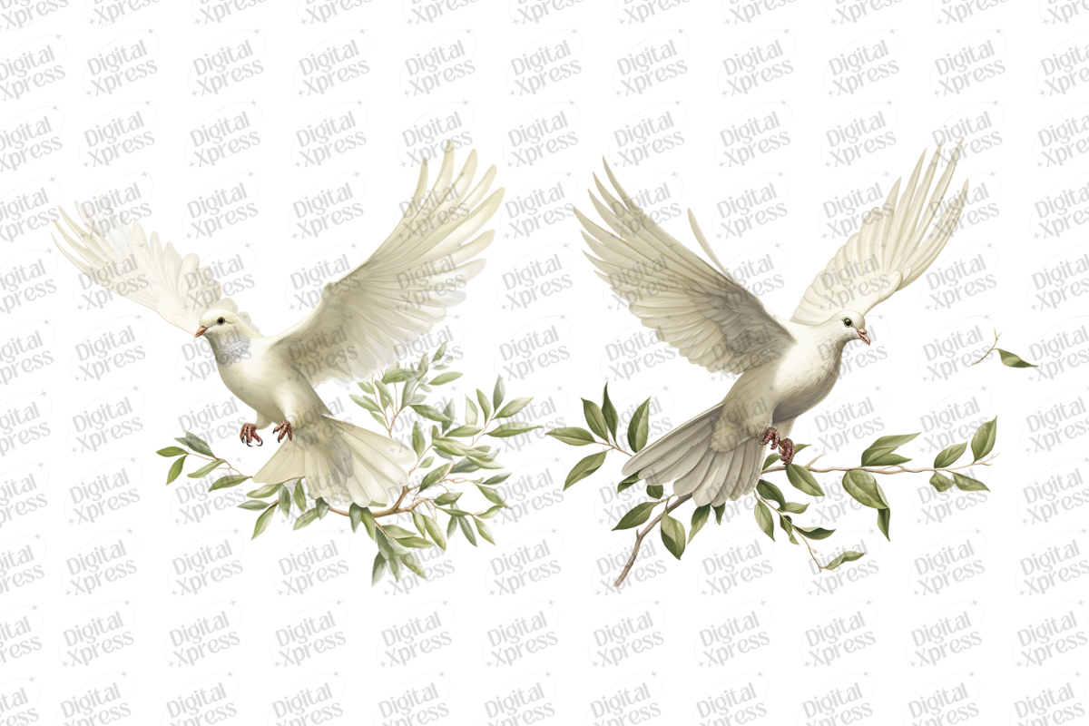 Beautiful Dove Clipart, an Object Illustration by Digital Xpress (Photo 4 of 7)