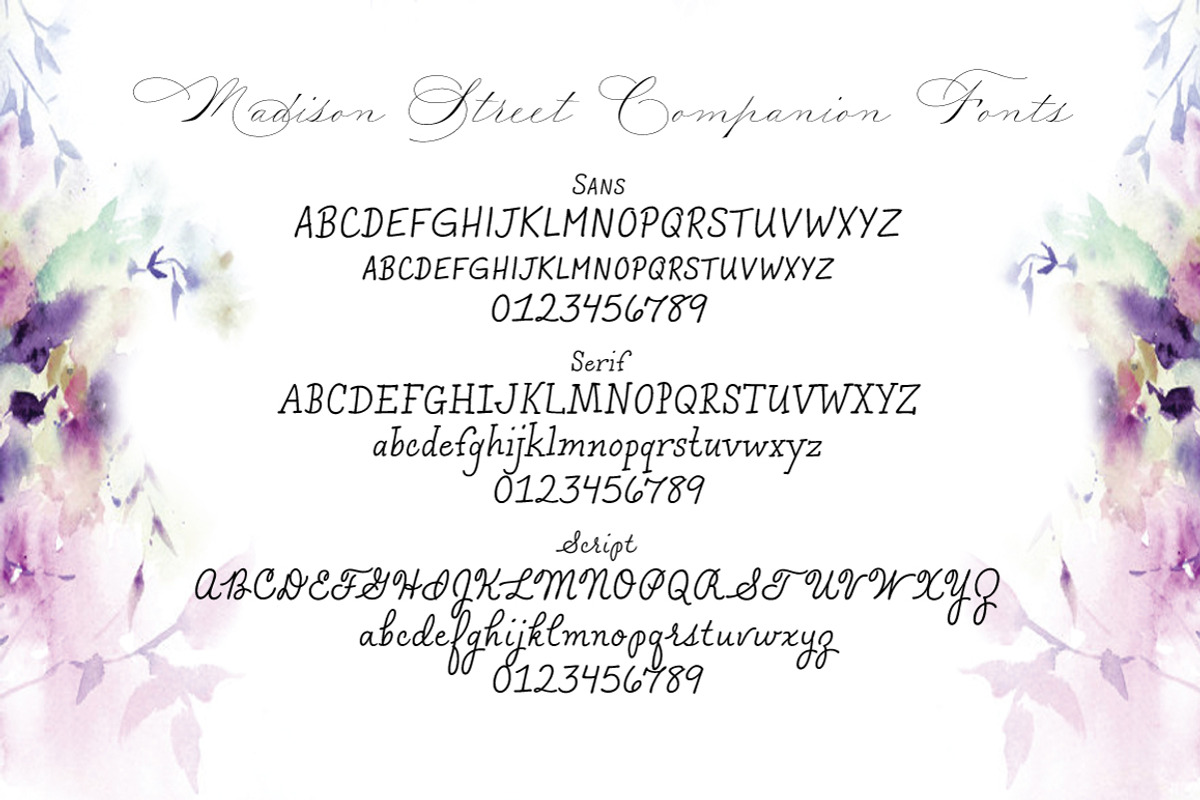 Madison Street Serif, a Serif Font by STUDIOWAYS (Photo 3 of 4)
