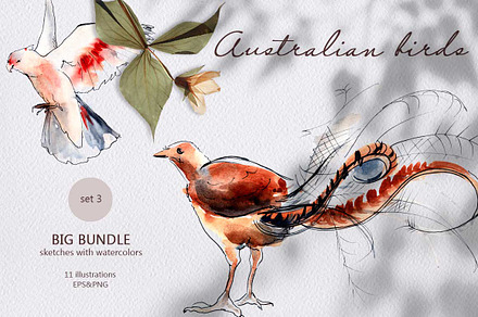 Australian birds. set 3