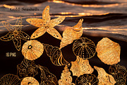 BIG MAGICAL BUNDLE ! BEST SELLERS, an Illustration by ArtOLB (Thumbnail 23 of 39)