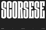 Cinema - Family 30% off, a Serif Font by Los Andes Type (Thumbnail 2 of 10)