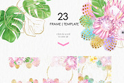 Tropic protea, watercolor clip art, a Seasonal Illustration by katmonne (Thumbnail 5 of 9)