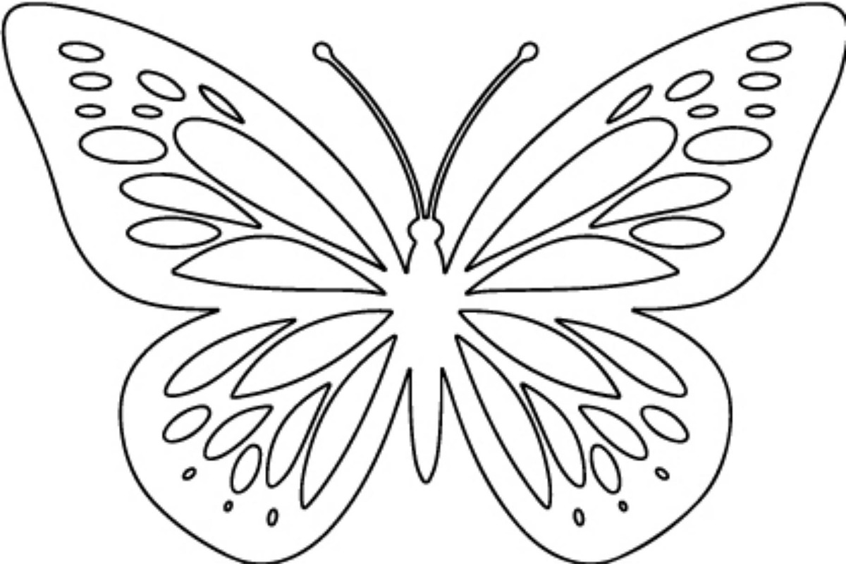 Ornamental Butterfly SVG Bundle, an Object Graphic by Gfx_Store (Photo 1 of 16)