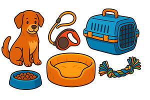 Dog accessories and essentials, an Animal Photo by ZinetroN