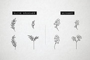 60 Flower and Floral Icons - Vol 2, an Outline Icon by Hatch Design Workshop (Thumbnail 4 of 10)