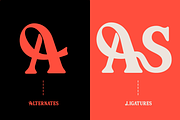 Pavalo Editorial Display Font, a Serif Font by Rasio Studio (Thumbnail 5 of 8)