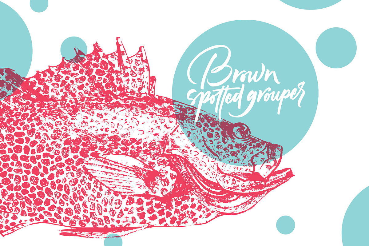 Fish, an Animal Illustration by Vera Holera (Photo 2 of 7)