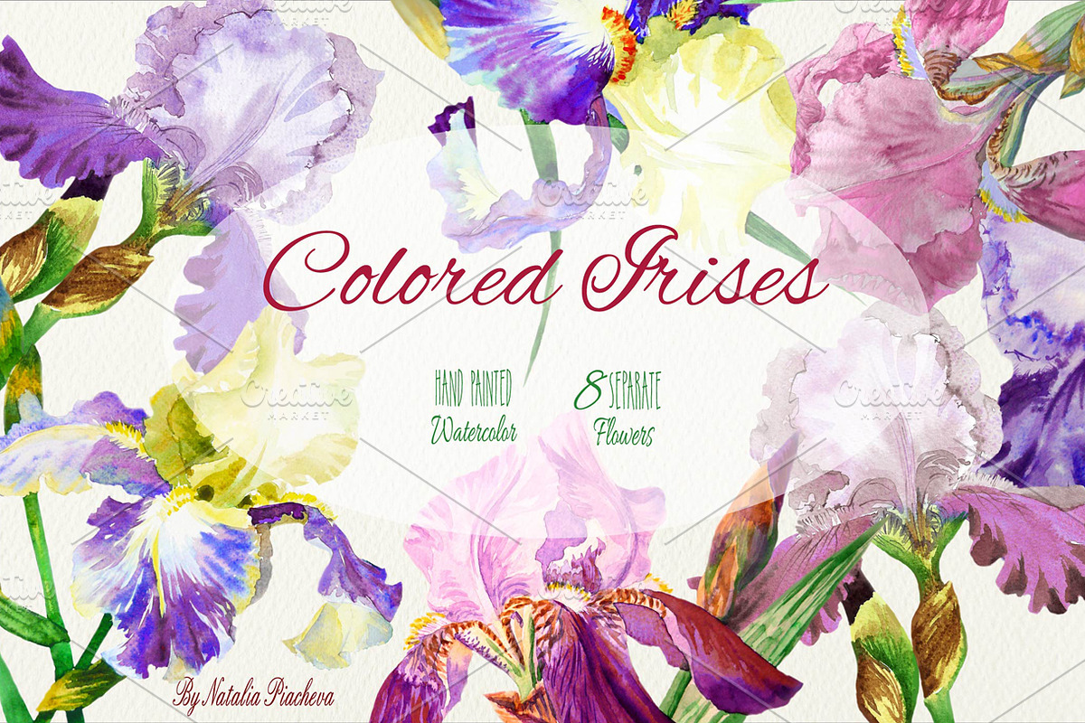 Colored Irises, an Illustration by Nataliapiache (Photo 1 of 2)