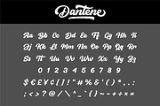 Dantene - Modern Calligraphy Font, a Font by Grezline Studio (Thumbnail 11 of 13)