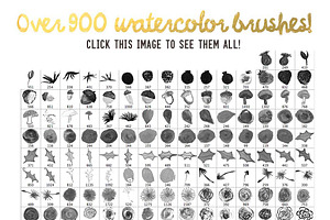 The Big One: 900 Brushes