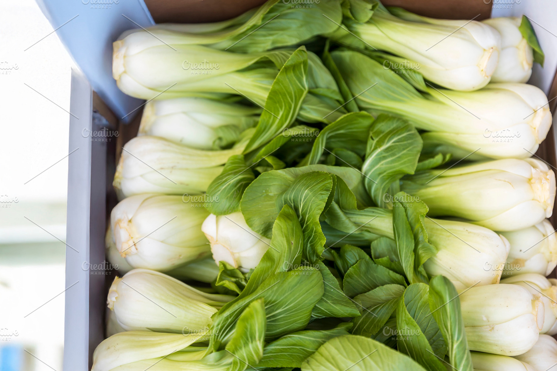Overhead View of Fresh Bok Choy Arra, a Food & Drink Photo by Imaginarium