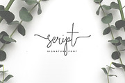 Wonderland Fonts Pack & Branding Kit, a Script Font by Graphicdome (Thumbnail 64 of 118)