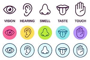 Five Senses Icons