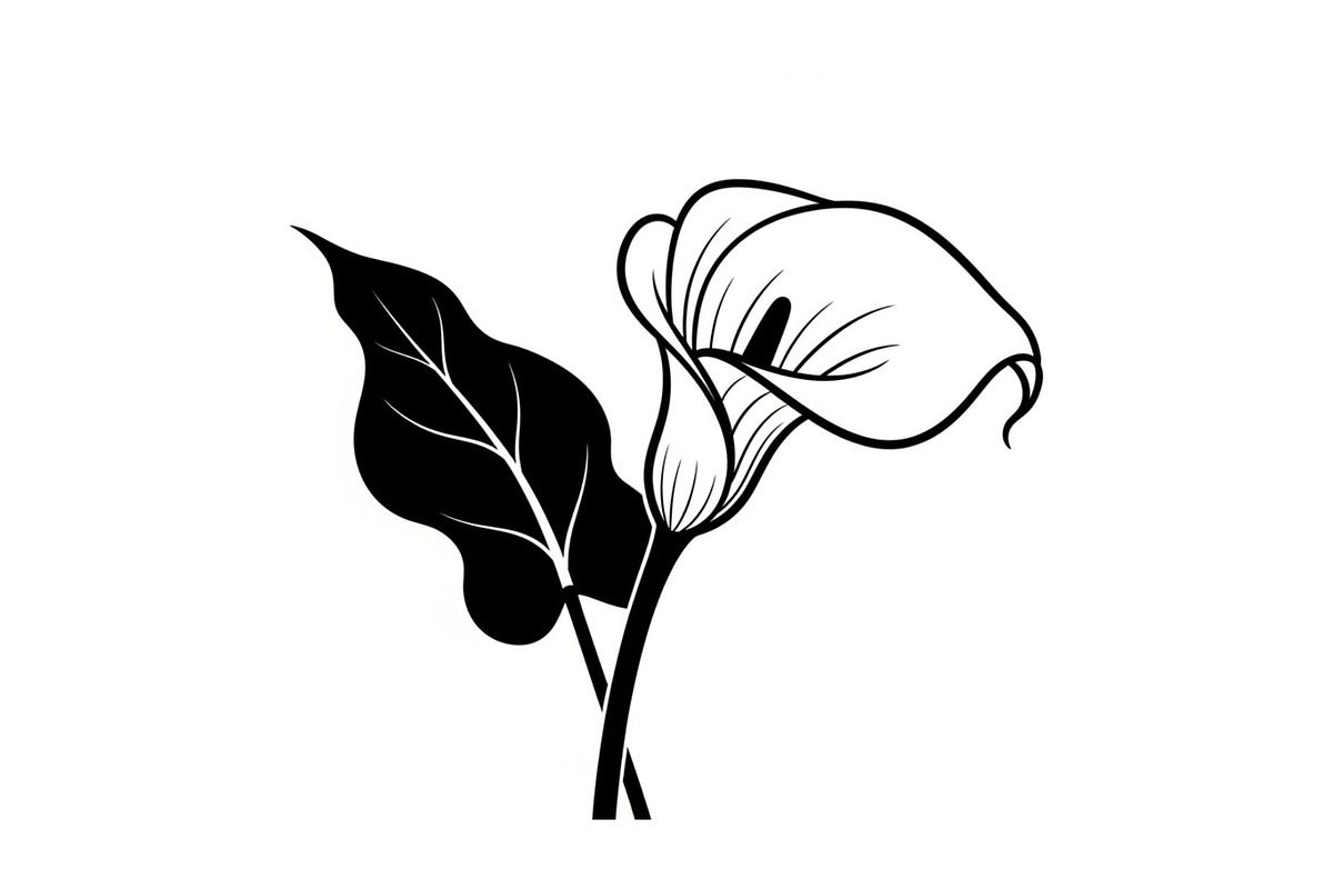 Black Lily Flower Vector Bundle, an Illustration by Designs_River (Photo 49 of 51)