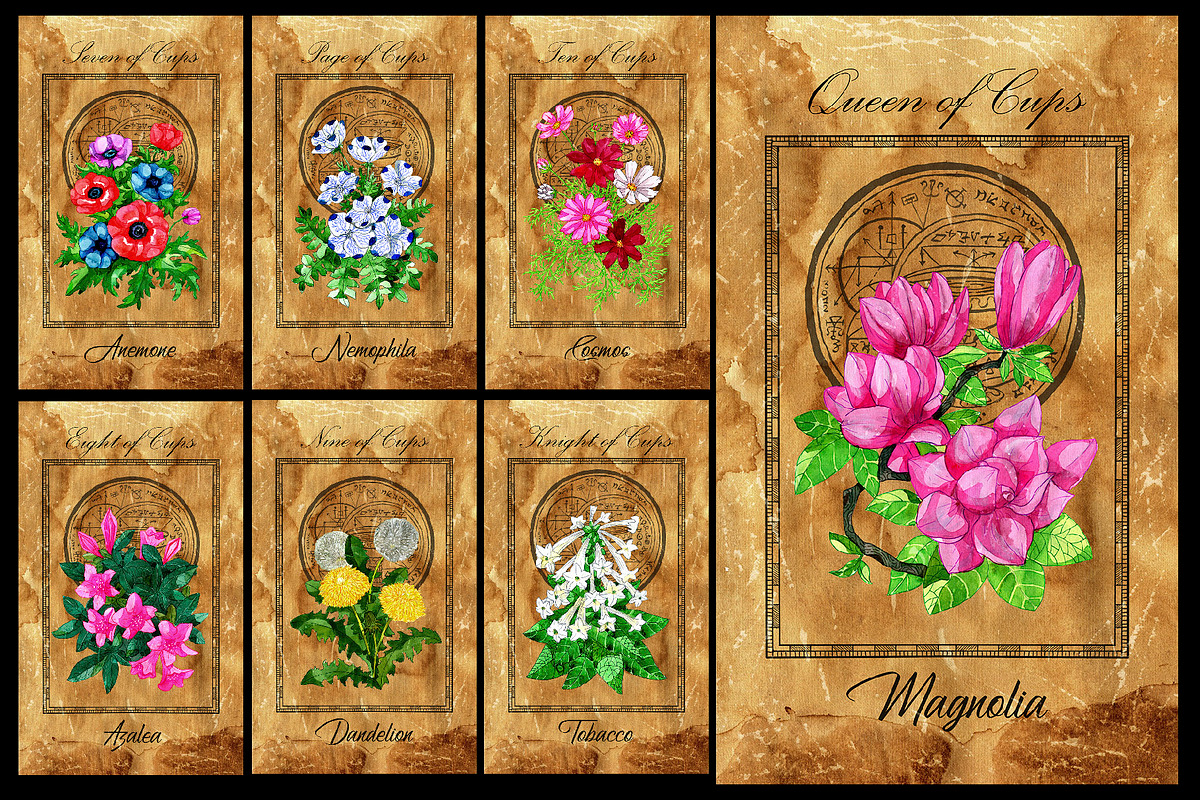 Enchanted flowers tarot deck, a Decorative Illustration by Samiramay (Photo 8 of 12)