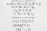 Summer Vintage, a Handwritten Font by FreshTypeINK (Thumbnail 8 of 8)