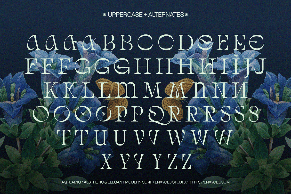 AQREAMIG — Luxury Ligature Serif, a Serif Font by Enxyclo Studio (Photo 13 of 25)