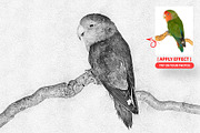 Advanced Sketch & Hatch Pro Effect, an Action Add-On by MRI STUDIO (Thumbnail 9 of 13)