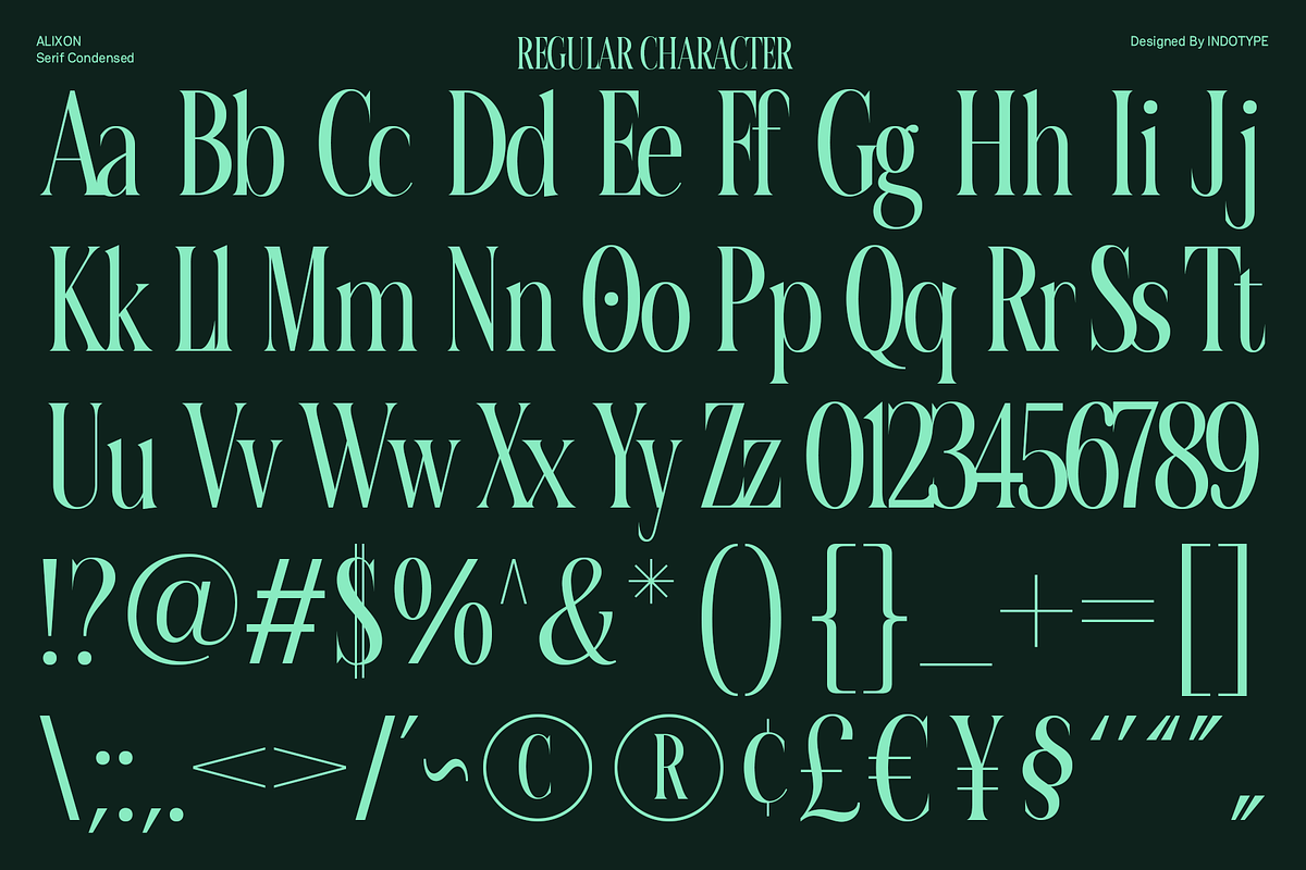 Calixon - Serif Condensed Font, a Serif Font by Indotype Foundry (Photo 4 of 10)